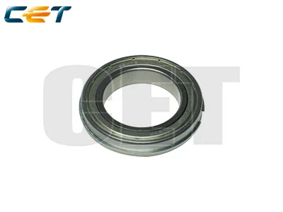 RICOH AE030017 GRAY