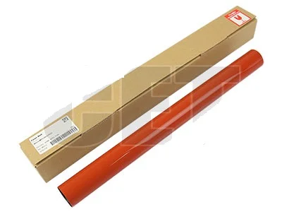 RICOH D1064052 ORANGE